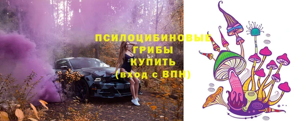 дурь Горнозаводск