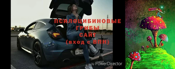 спиды Горно-Алтайск